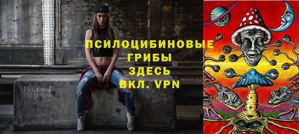 крисы Абдулино