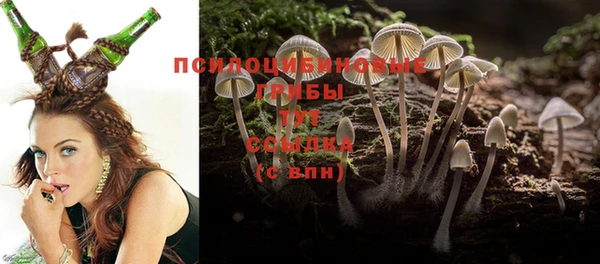 винт Абинск