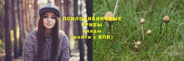крисы Абдулино