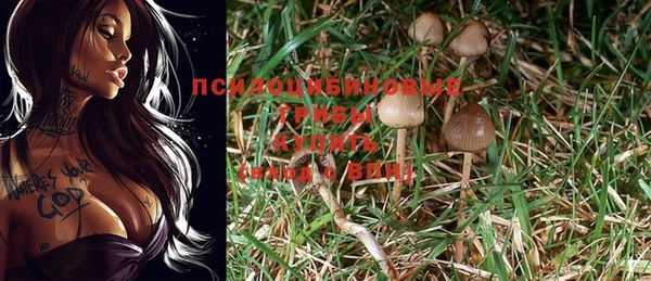 герыч Абаза