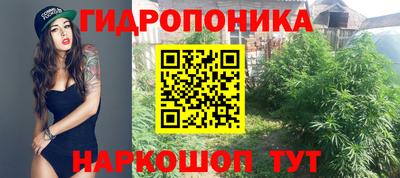 экстази Гусев