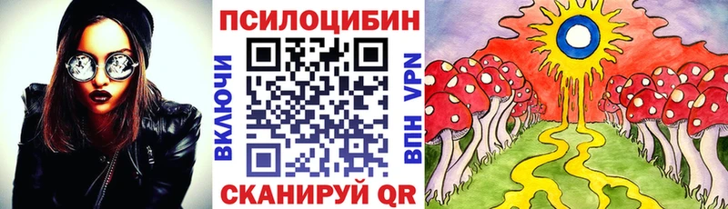 цены наркотик  Норильск  Псилоцибиновые грибы GOLDEN TEACHER 